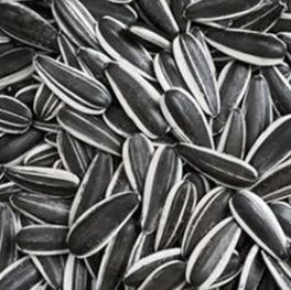 Sunflower Seed Turkey Market Price Ukraine Chinese Raw 601 Sunflower Seed