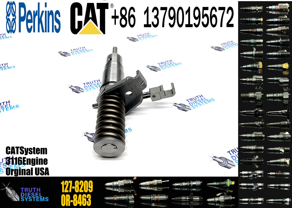 Fuel Injector 127-8209 127-8216 127-8228 127-8230 162-0212 162-0218 418-8820 0R-8461 for CAT 3116