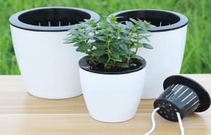 Wholesale PP Thickened Not Brittle Round Flower Pots Wear Resistance from china suppliers