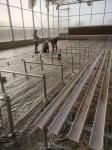 Industrial Polycarbonate Sheet Greenhouses Ideal for Growing Vegetable Fruits