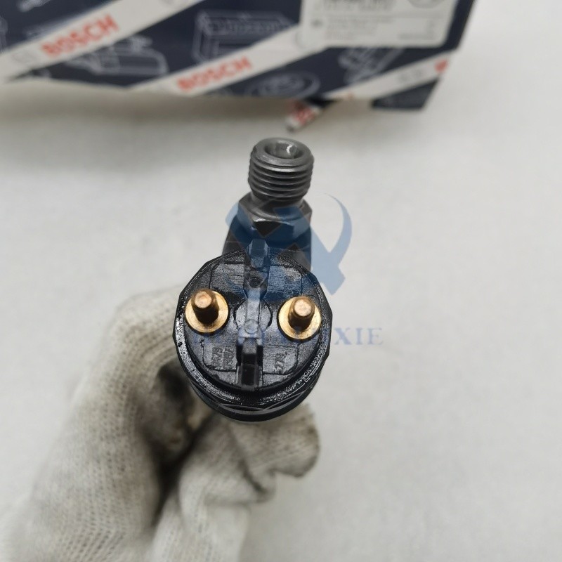 Diesel Fuel Injector 0445120067 20798683 for Volvo Excavator EC210 EC210B KHD Engine D6E