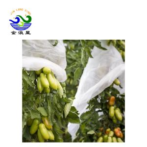 Wholesale Greenhouse Nonwoven 40gsm Fabric Fruit Protection Bag from china suppliers