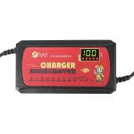 Output Voltage 48V Electric Bike Scooter Lead Acid Battery Charger for Private