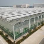 3mm 4mm Tomato Venlo Portable Glass Greenhouse Roof And Side Ventilation Control