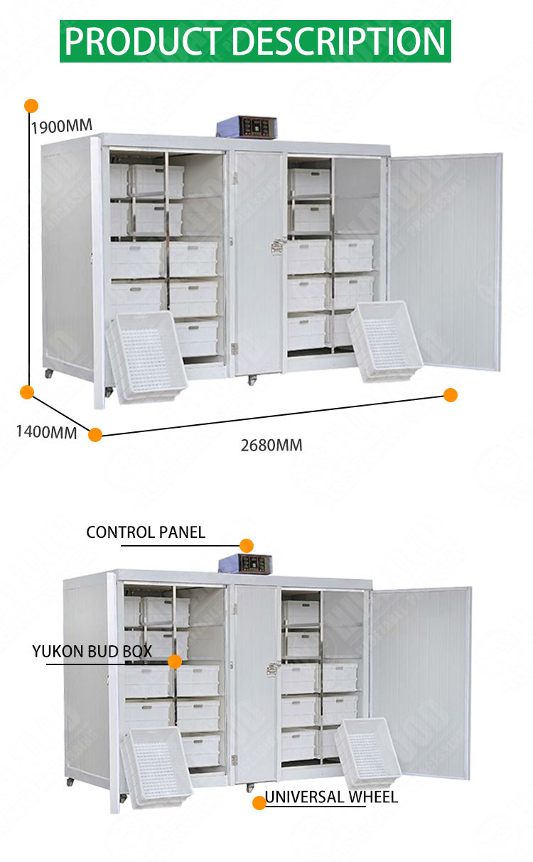 250kg/d Automatic Quick Mung Bean Sprout Machine Barley Bean Sprout Machine