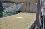 Automatic Cereal Grain Fried Instant Noodle Production Line Manufacturer