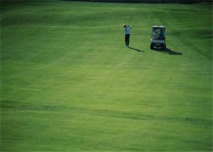 Wholesale High Abrasion Resistance Golf Artificial Grass Carpet Home Outdoor Golf Putting Greens from china suppliers