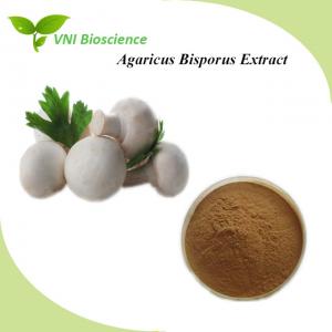 China Natural Medicinal Mushroom Powder Anti Cancer Agaricus Bisporus Powder on sale
