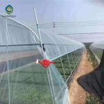 Hot Galvanized Steel 12m Single Tunnel Greenhouse