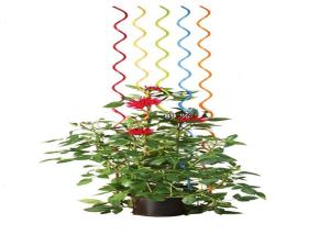Wholesale 6mm X 1.8m Metal Wire Series Plant Growing Spiral Stakes from china suppliers