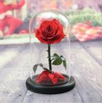 2020 Dried Eternal Roses Flowers Endless Preserved Roses Flower In Glass