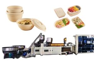 Wholesale High Speed Take Away Box Making Machine Fully Auto Eco Friendly from china suppliers