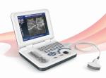 Notebook Veterinary Ultrasound Machines Digital Ultrasound Scanner Rectal Probe