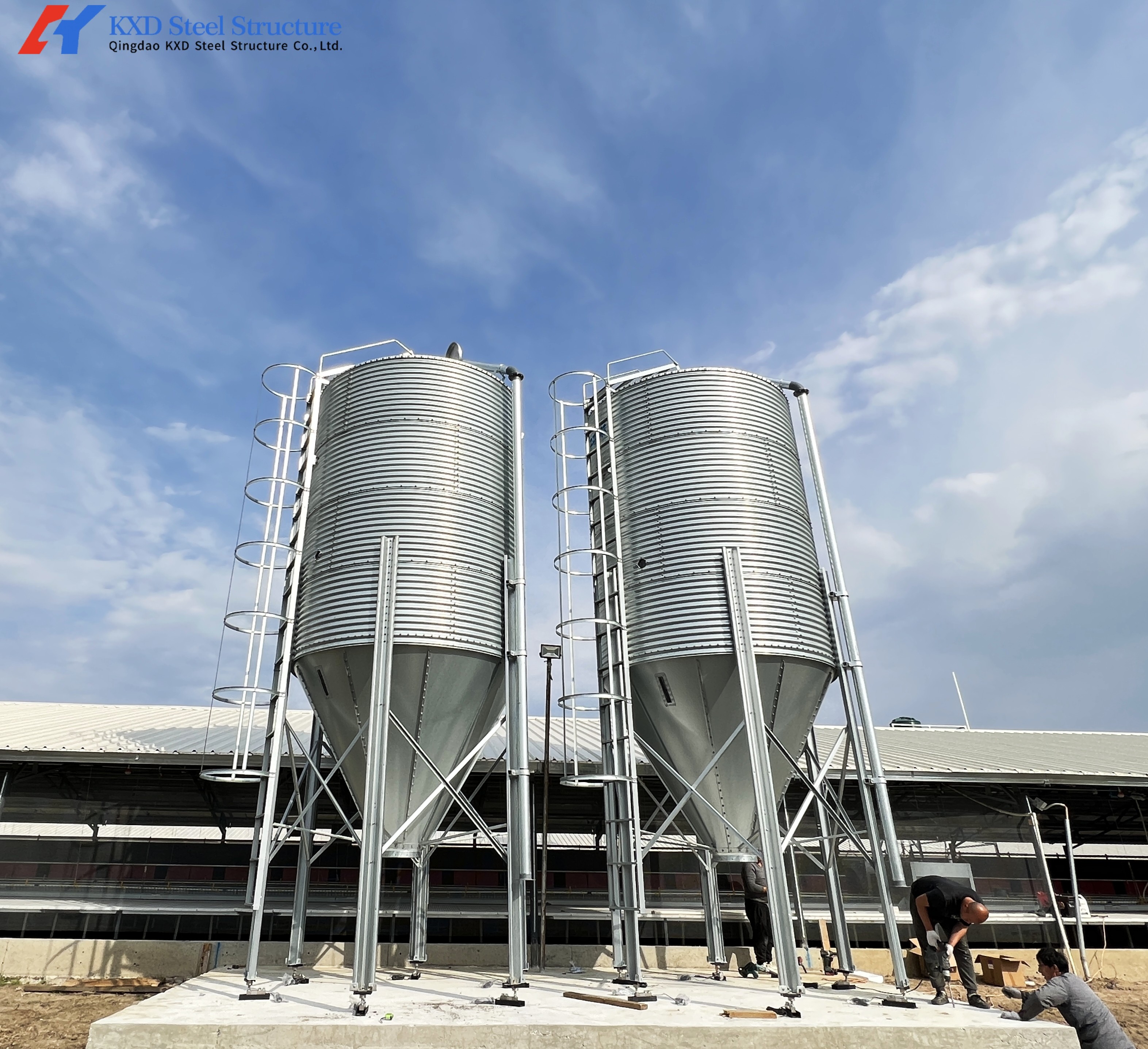 Complete Controlled Poultry Shed Prefabricated Steel Structure Chicken House for Farm Building