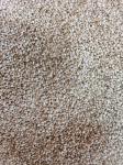 4 Channels Economical Sesame Color Sorter Separator