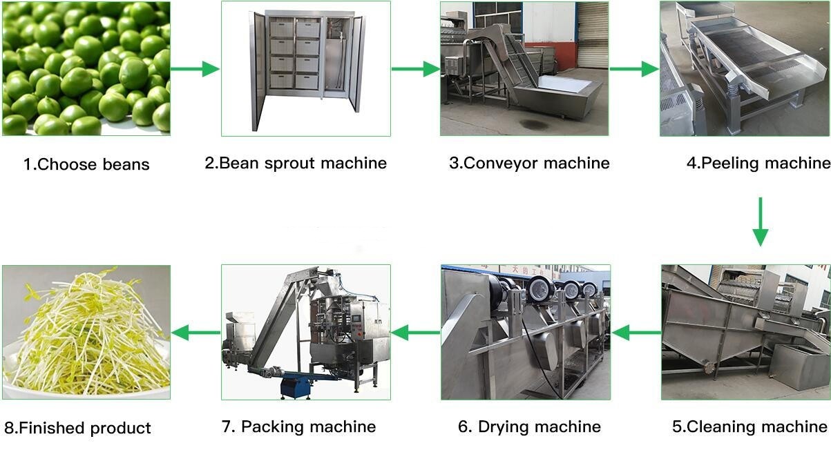 Animal Fodder Hydroponic System Barley Germination Machine 100kg Per Day