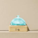 200 MLGlass Essential Oil Diffuser▕ DN-839