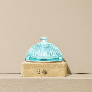Wholesale 200 MLGlass Essential Oil Diffuser▕ DN-839 from china suppliers
