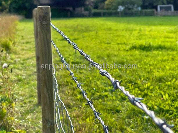 Galvanized/PVC Coated Razor Barbed Wire Mesh Fence for Prison Security at Affordable