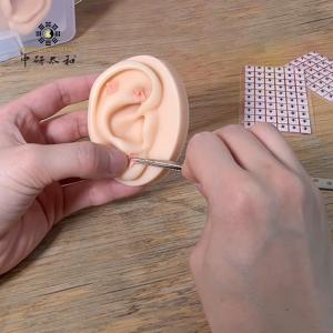 Wholesale 100 Pieces Vaccaria Ear Seeds For Auricular Therapy External Use Only from china suppliers