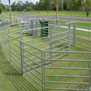 Wholesale Galvanized Welded Pipe Cattle Fence Panel 8FT Horse Farm Fencing Panels from china suppliers
