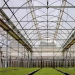Multi Span Po Film Greenhouse in High Demand Package Size 50.00cm * 60.00cm * 50