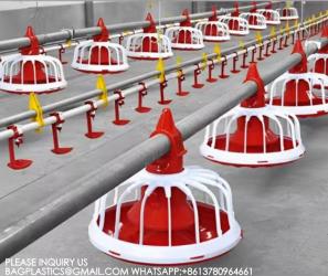 YANTAI BAGEASE POULTRY FARMING EQUIRMENT CO.,LTD