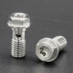303 Stainless Steel Brake Line Banjo Bolt M10 Ultrasonic Cleaning Polished