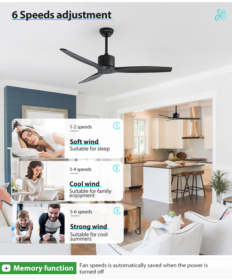 Standard Wind 52 Inches Ceiling Fan with Remote Control and 6 Speeds Private Mold NO