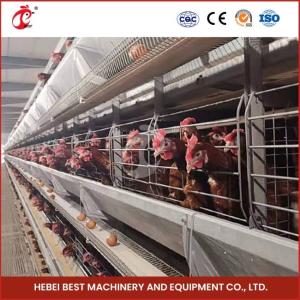 Wholesale H Type Galvanized Poultry Layer Cage System Layer Chicken Steel Cage Mia from china suppliers