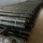 Alkali Resistant PP Woven Geotextile Fabric Roll For Driveway And Road