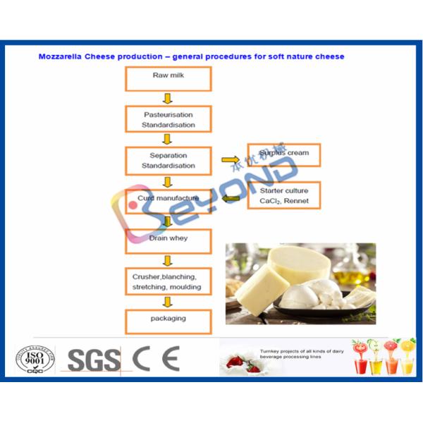 200 - 50000LPD Turn Key Project Cheese Making Equipment with Plastic Bottle Package