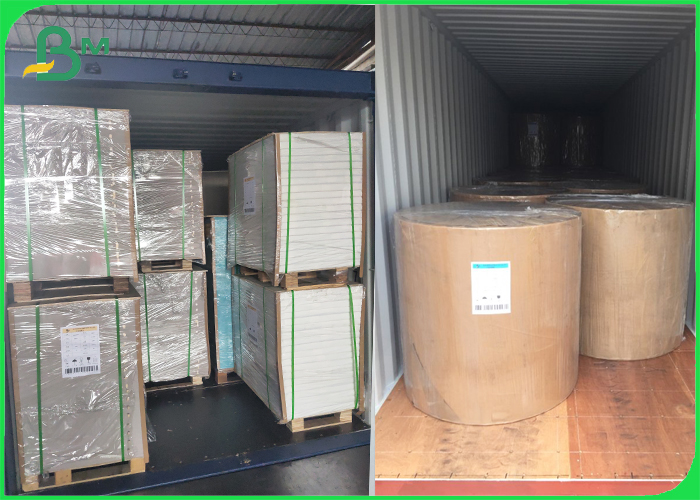  PE Coated White Carton Base Paper for Coffee cups 170 - 300gsm