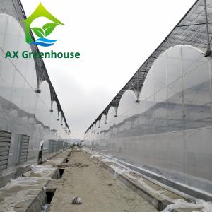 Wholesale ODM Transparent Polycarbonate Plastic Film Greenhouse Side Top Ventilation Greenhouse from china suppliers