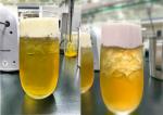 Water Solute White Food Emulsifier For Whipping Topping On Tea Fruit Juice