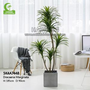 Wholesale Aesthetic 185cm Artificial Potted Floor Plants For Indoor Decoration from china suppliers