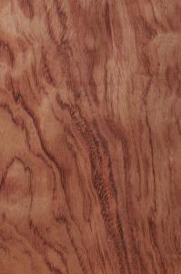 Wholesale BUBINGA Wood Veneer from china suppliers