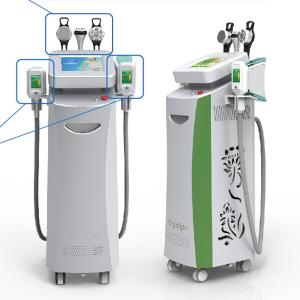 Wholesale Coolsculpting Freezing Fat Cryolipolysis Machine Leg , Arms, Belly Fat Removing from china suppliers
