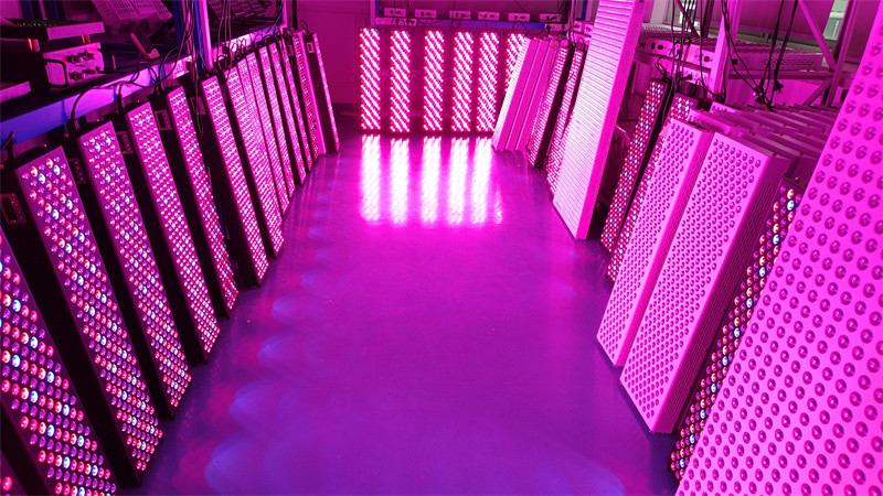 300-3600W Infrared PDT Red Light Therapy Machine with 7 Wavelengths OEM/ODM