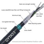 ISO9001 Outdoor Fiber Optic Cable Singlemode Armored Double Jacket GYTA53