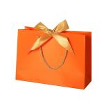 Ribbon Handle Cosmetic Paper Bags