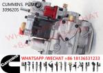 3096205 3086397 3088681 3098495 Common Rail Fuel Injection Pump