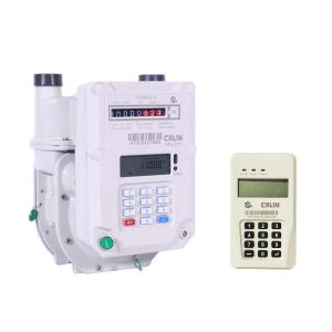 Wholesale Smart 1.2L Prepaid Gas Meter from china suppliers