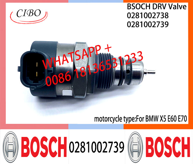 BOSCH DRV Valve 0281002739 Control Valve 0281002739 For BMW X5 E60 E70