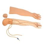 Multifunctional PVC 4kgs Venipuncture Arm Simulator