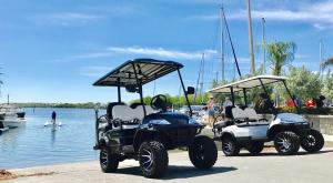 Wholesale 2 Seater Golf Buggy Golf E Car from china suppliers