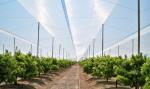 Greenhouses Anti Insect Screen Mesh Disease Prevention Insect Proof Mesh