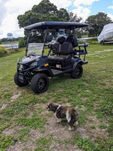 Wholesale 4 Seats Customize Electric Golf Cart 4 Passengers Off Road Golf Buggy from china suppliers