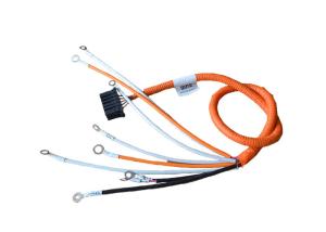 Wholesale ISO 22 AWG 12 Pin New Energy Vehicle Wiring Harness from china suppliers