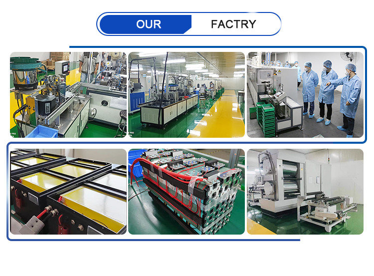 Waterproof and Acid Resistant LiFePO4 Lithium Battery Packs 48V 51.2V 100Ah 150Ah 200Ah with BMS Built-in Protection